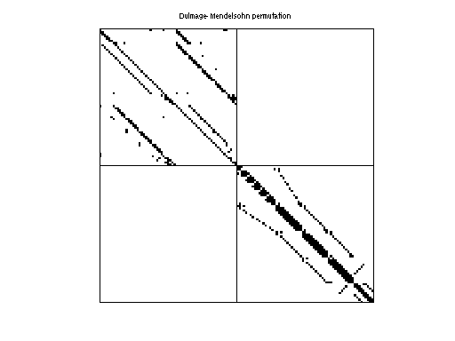Dulmage-Mendelsohn Permutation of AG-Monien/grid1