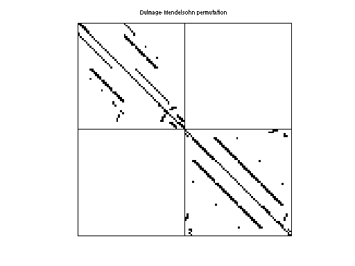 Dulmage-Mendelsohn Permutation of AG-Monien/grid1_dual