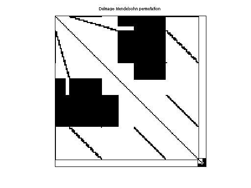 Dulmage-Mendelsohn Permutation of Andrianov/net125