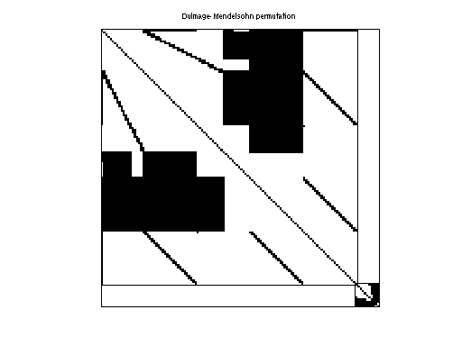Dulmage-Mendelsohn Permutation of Andrianov/net75