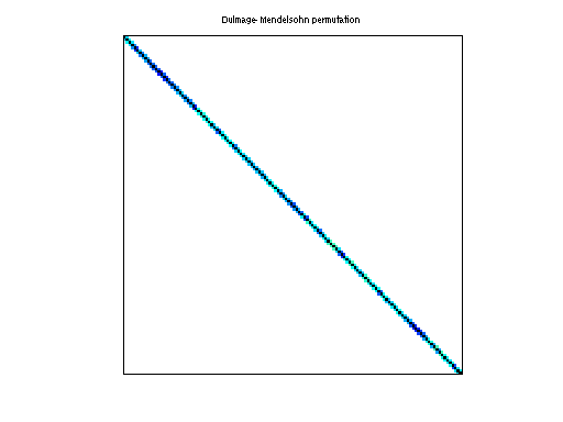 Dulmage-Mendelsohn Permutation of BenElechi/BenElechi1