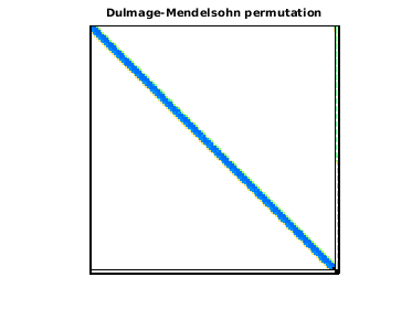Dulmage-Mendelsohn Permutation of Goodwin/Goodwin_095