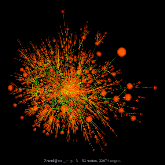 Force-Directed Graph Visualization of Grund/poli_large