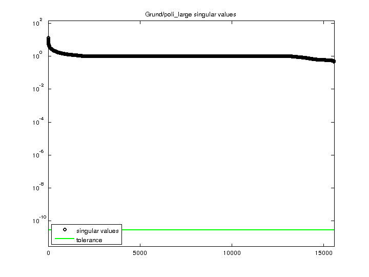 Singular Values of Grund/poli_large