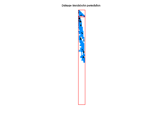 Dulmage-Mendelsohn Permutation of JGD_Relat/rel6