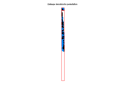 Dulmage-Mendelsohn Permutation of JGD_Relat/rel8