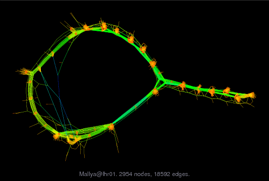 Force-Directed Graph Visualization of Mallya/lhr01