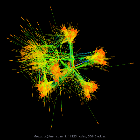 Force-Directed Graph Visualization of Meszaros/nemspmm1