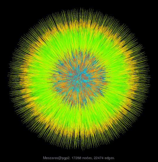 Force-Directed Graph Visualization of Meszaros/pgp2
