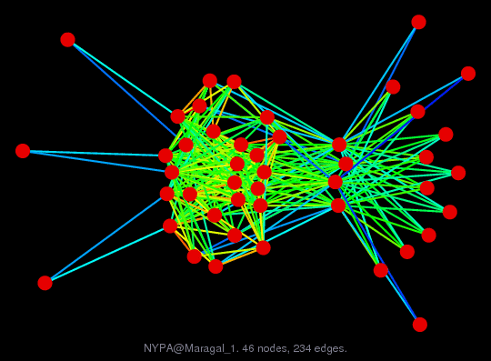 Force-Directed Graph Visualization of NYPA/Maragal_1