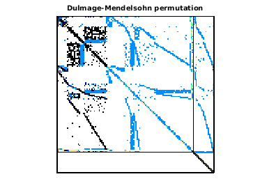 Dulmage-Mendelsohn Permutation of PowerSystem/power197k