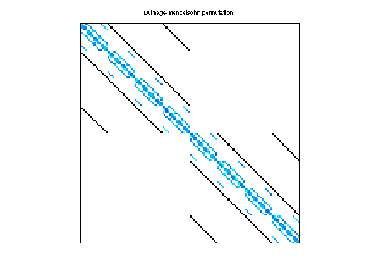 Dulmage-Mendelsohn Permutation of QCD/conf5_0-4x4-10