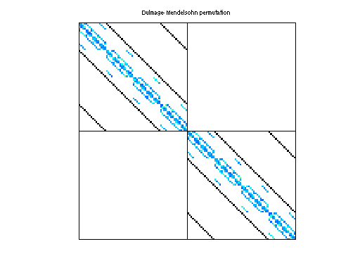 Dulmage-Mendelsohn Permutation of QCD/conf5_0-4x4-26