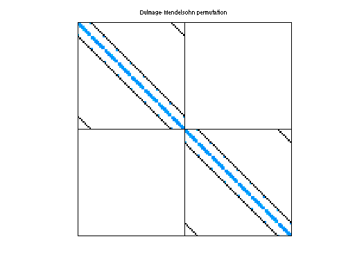Dulmage-Mendelsohn Permutation of QCD/conf5_4-8x8-05