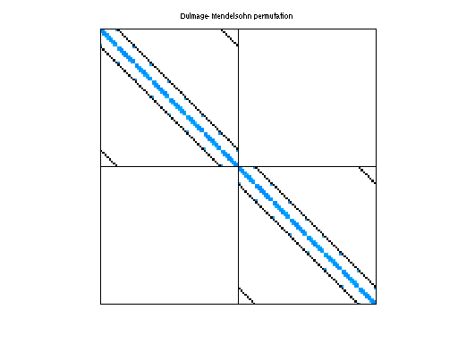 Dulmage-Mendelsohn Permutation of QCD/conf6_0-8x8-20
