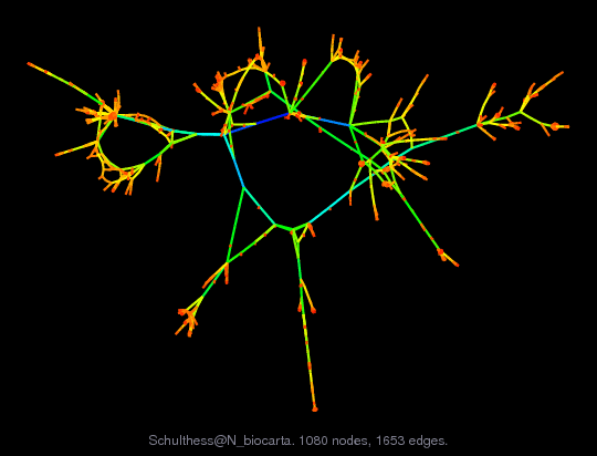 Force-Directed Graph Visualization of Schulthess/N_biocarta