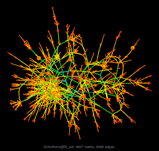 Force-Directed Graph Visualization of Schulthess/N_pid