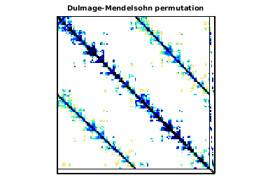 Dulmage-Mendelsohn Permutation of TAMU_SmartGridCenter/ACTIVSg10K