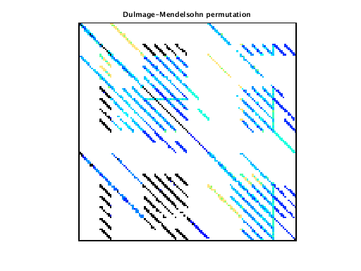 Dulmage-Mendelsohn Permutation of VDOL/freeFlyingRobot_16