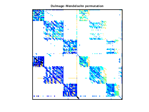 Dulmage-Mendelsohn Permutation of VDOL/kineticBatchReactor_2