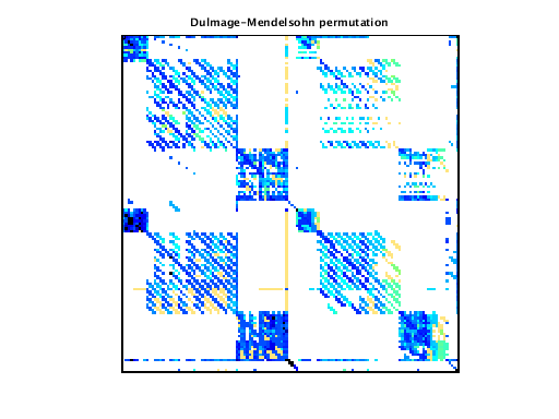 Dulmage-Mendelsohn Permutation of VDOL/kineticBatchReactor_8