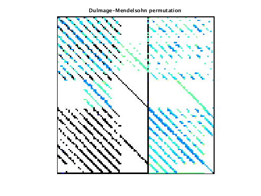 Dulmage-Mendelsohn Permutation of VDOL/reorientation_1