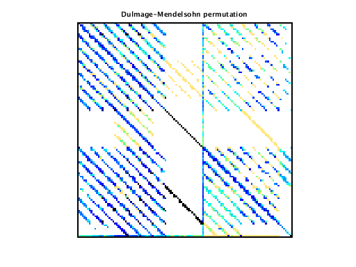 Dulmage-Mendelsohn Permutation of VDOL/reorientation_2