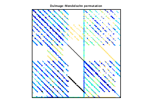 Dulmage-Mendelsohn Permutation of VDOL/reorientation_4
