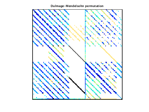 Dulmage-Mendelsohn Permutation of VDOL/reorientation_5