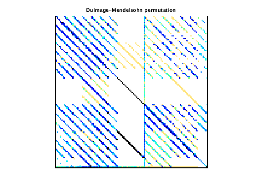 Dulmage-Mendelsohn Permutation of VDOL/reorientation_6