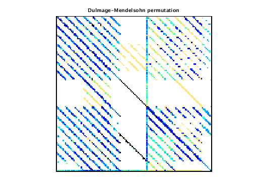 Dulmage-Mendelsohn Permutation of VDOL/reorientation_7