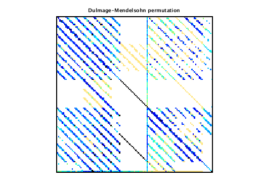 Dulmage-Mendelsohn Permutation of VDOL/reorientation_8